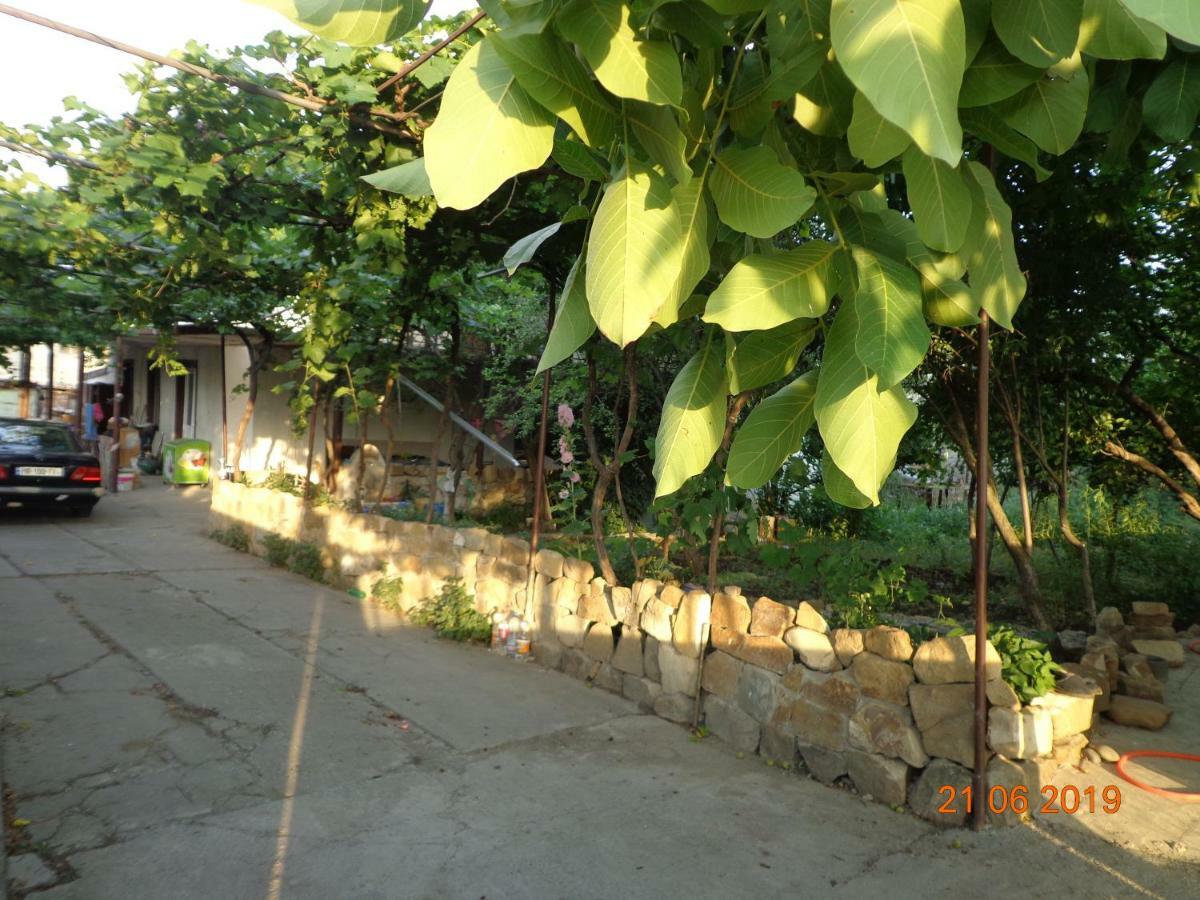 My Home Udabno Bagian luar foto